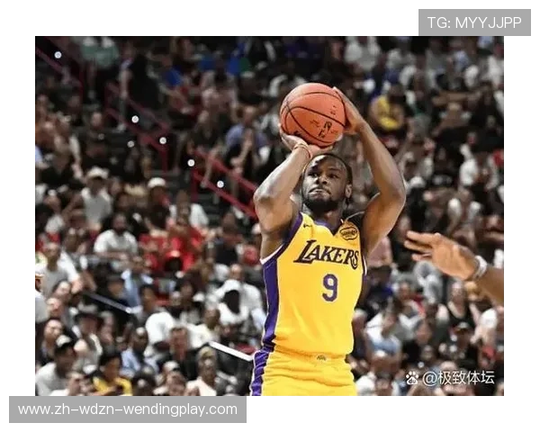 火箭队2009年对湖人的比赛全程录像 火箭队2009年对湖人的比赛全程录像