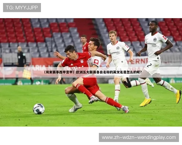 德甲球队的名称翻译与音译