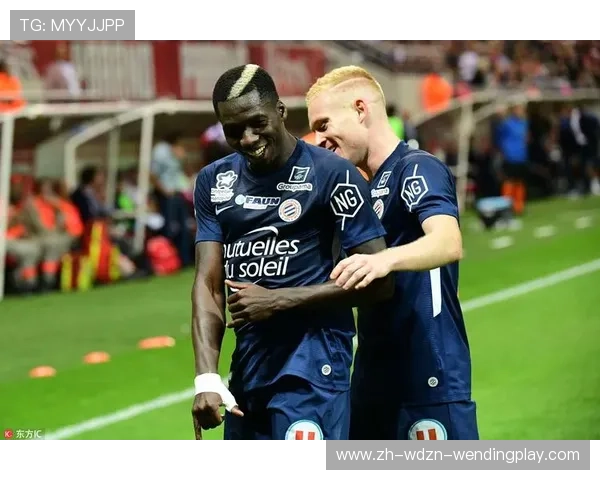 法甲球员技术统计及体育竞技能力评估 法甲球员技术统计及体育竞技能力评估